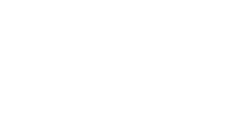 DOLLY